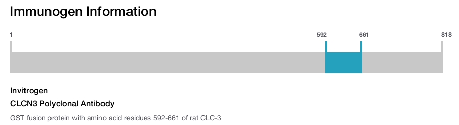 CLCN3 Polyclonal Antibody