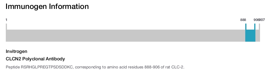 CLCN2 Polyclonal Antibody
