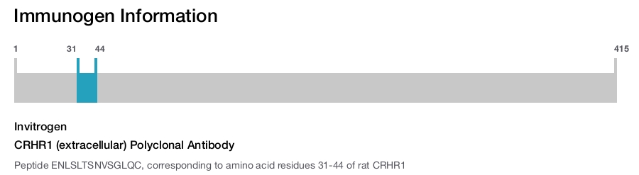 CRHR1 (extracellular) Polyclonal Antibody