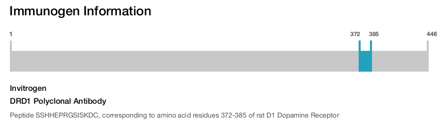 DRD1 Polyclonal Antibody