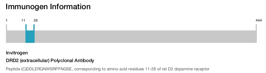 DRD2 (extracellular) Polyclonal Antibody