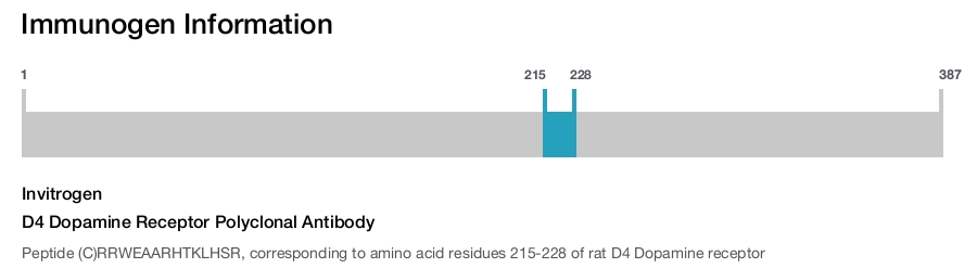 D4 Dopamine Receptor Polyclonal Antibody