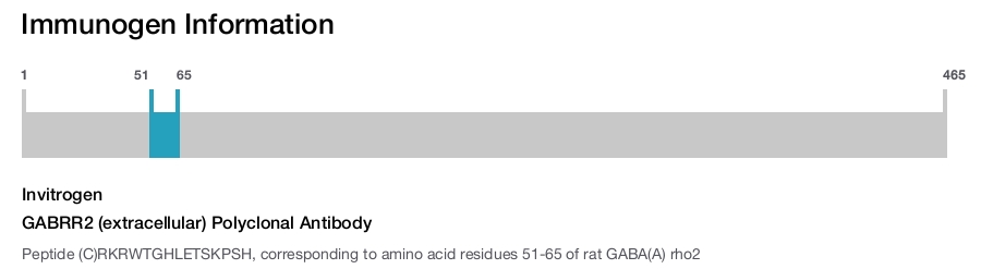 GABRR2 (extracellular) Polyclonal Antibody