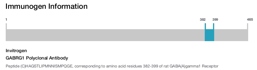 GABRG1 Polyclonal Antibody