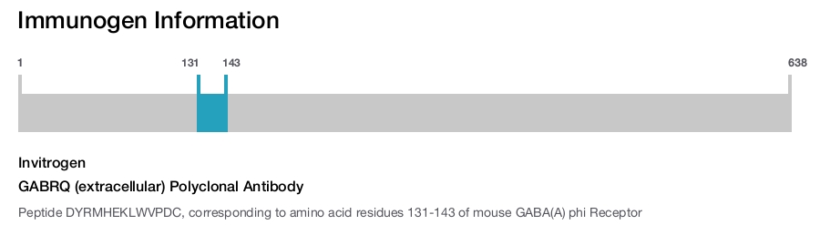 GABRQ (extracellular) Polyclonal Antibody