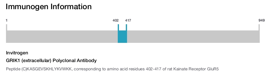 GRIK1 (extracellular) Polyclonal Antibody
