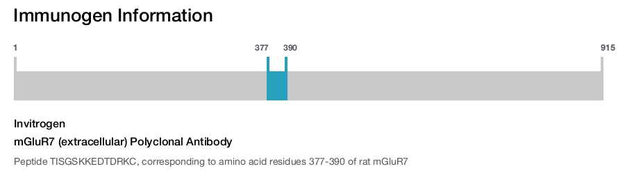 mGluR7 (extracellular) Polyclonal Antibody
