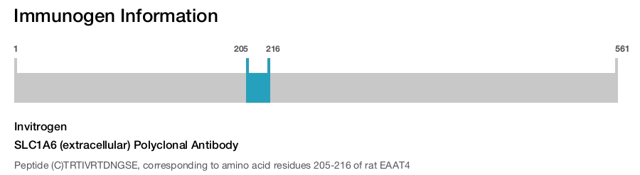 SLC1A6 (extracellular) Polyclonal Antibody