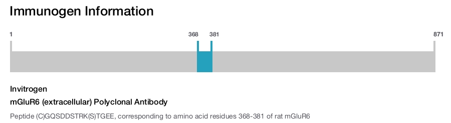 mGluR6 (extracellular) Polyclonal Antibody