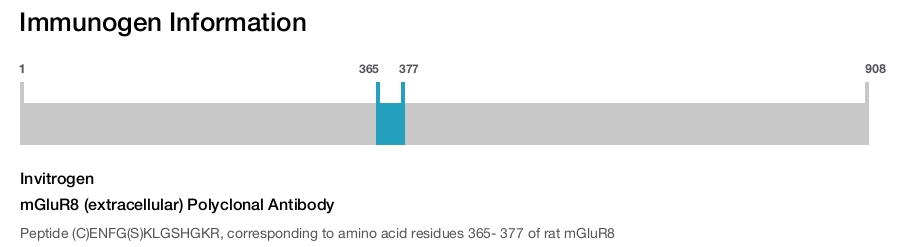 mGluR8 (extracellular) Polyclonal Antibody