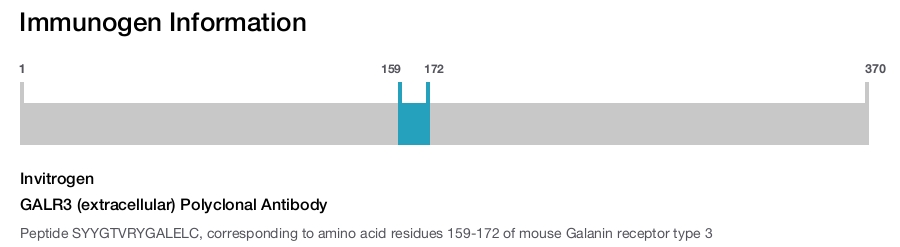 GALR3 (extracellular) Polyclonal Antibody