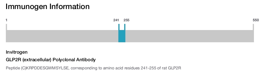 GLP2R (extracellular) Polyclonal Antibody