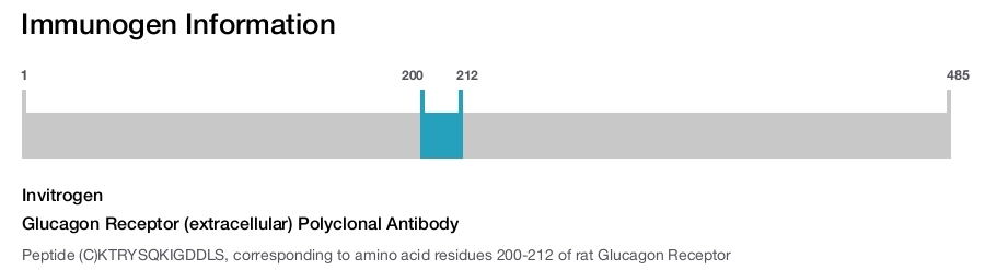 Glucagon Receptor (extracellular) Polyclonal Antibody