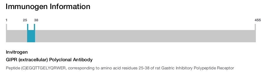 GIPR (extracellular) Polyclonal Antibody