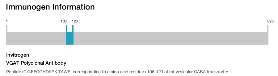 VGAT Polyclonal Antibody