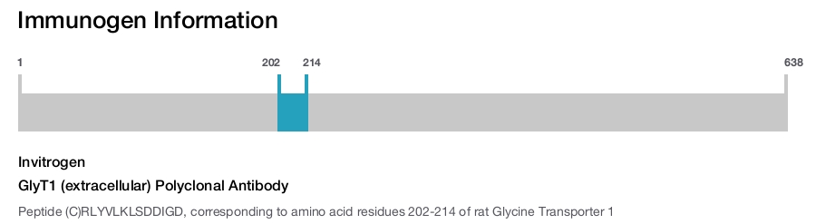 GlyT1 (extracellular) Polyclonal Antibody