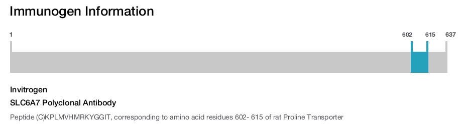 SLC6A7 Polyclonal Antibody