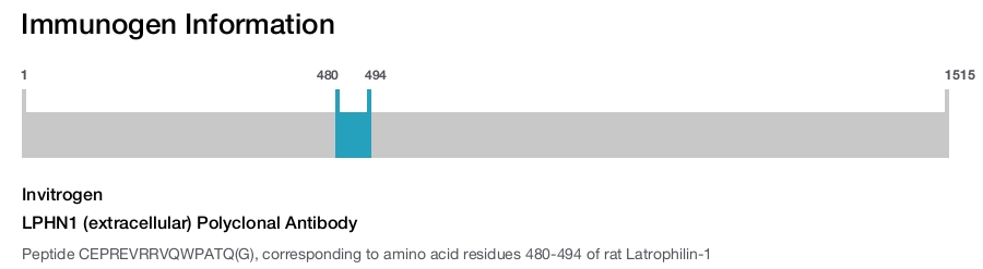 LPHN1 (extracellular) Polyclonal Antibody
