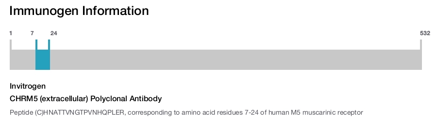 CHRM5 (extracellular) Polyclonal Antibody