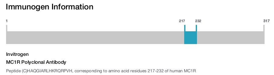 MC1R Polyclonal Antibody