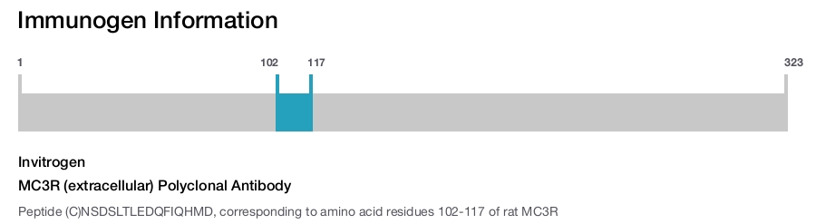 MC3R (extracellular) Polyclonal Antibody