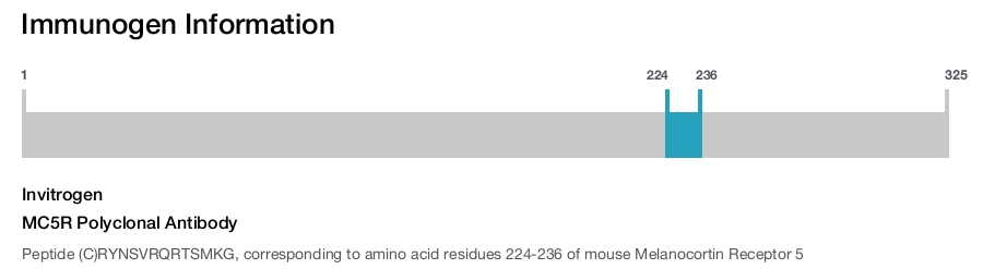 MC5R Polyclonal Antibody