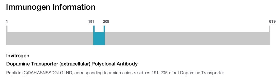 Dopamine Transporter (extracellular) Polyclonal Antibody