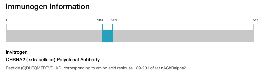CHRNA2 (extracellular) Polyclonal Antibody