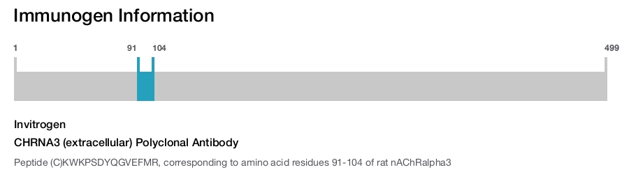 CHRNA3 (extracellular) Polyclonal Antibody