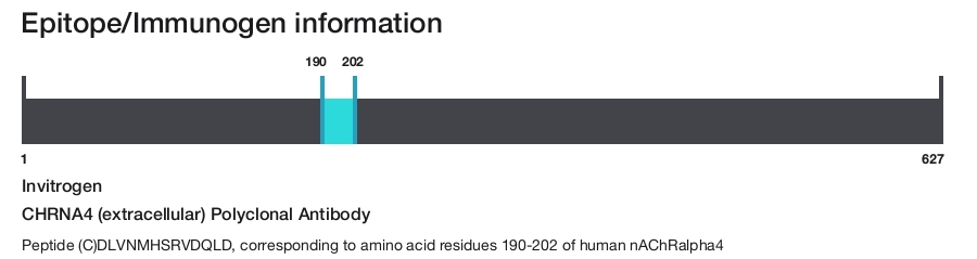CHRNA4 (extracellular) Polyclonal Antibody