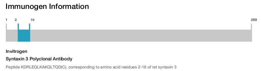 Syntaxin 3 Polyclonal Antibody
