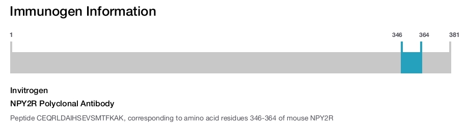 NPY2R Polyclonal Antibody
