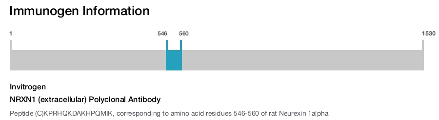 NRXN1 (extracellular) Polyclonal Antibody