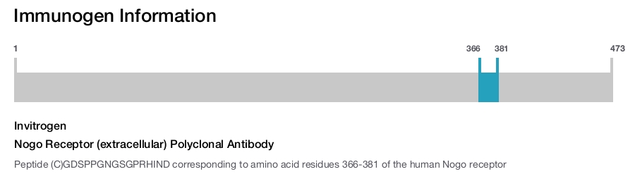Nogo Receptor (extracellular) Polyclonal Antibody