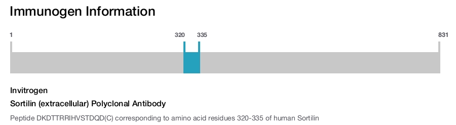Sortilin (extracellular) Polyclonal Antibody