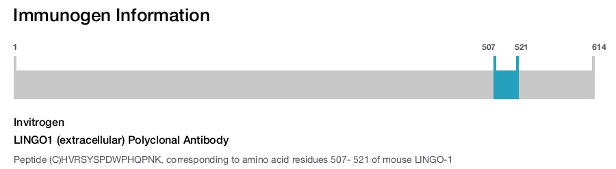 LINGO1 (extracellular) Polyclonal Antibody