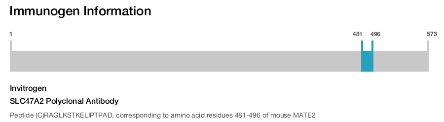 SLC47A2 Polyclonal Antibody
