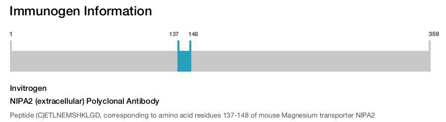 NIPA2 (extracellular) Polyclonal Antibody