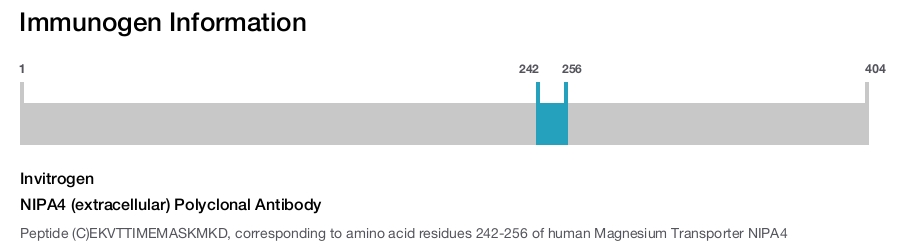 NIPA4 (extracellular) Polyclonal Antibody