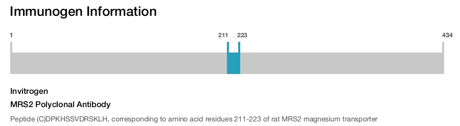 MRS2 Polyclonal Antibody