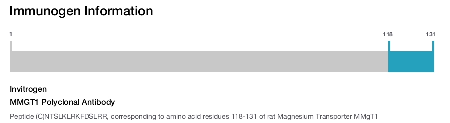 MMGT1 Polyclonal Antibody
