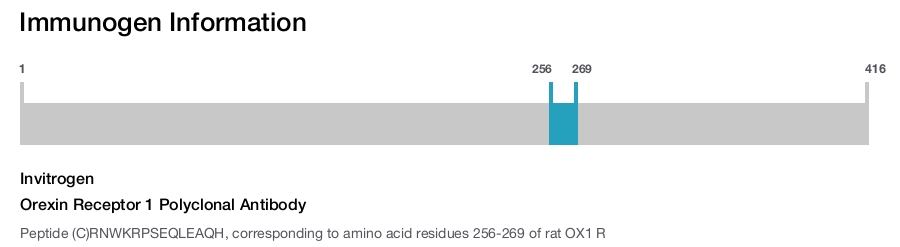 Orexin Receptor 1 Polyclonal Antibody