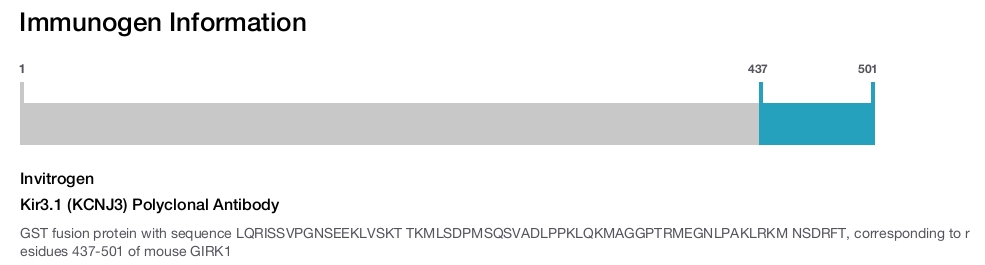 Kir3.1 (KCNJ3) Polyclonal Antibody