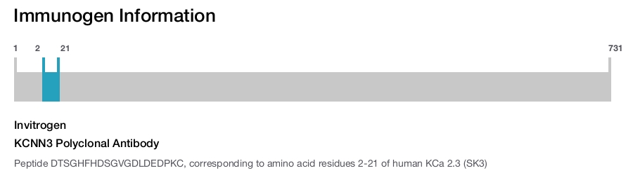 KCNN3 Polyclonal Antibody