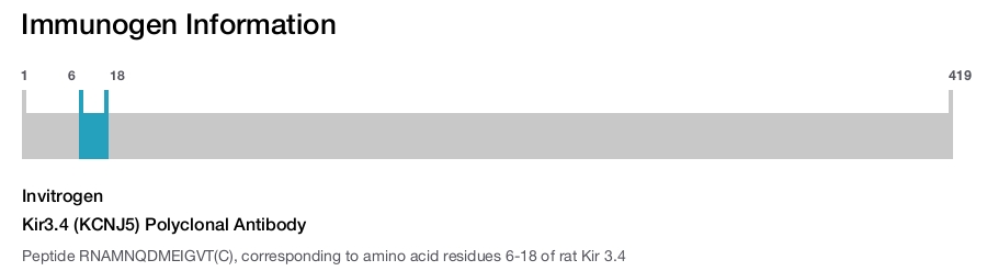 Kir3.4 (KCNJ5) Polyclonal Antibody