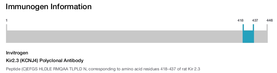 Kir2.3 (KCNJ4) Polyclonal Antibody