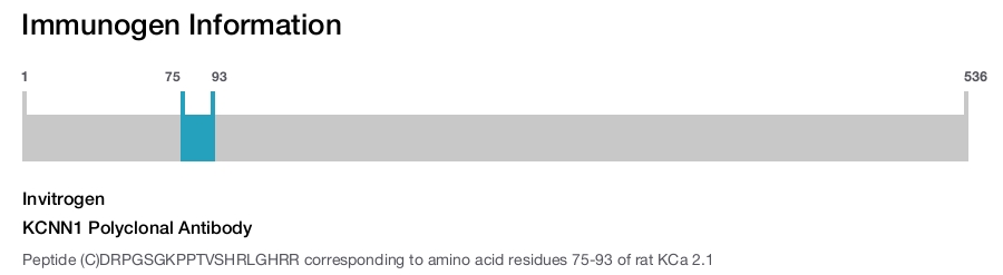KCNN1 Polyclonal Antibody
