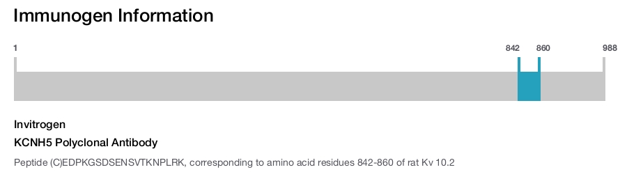 KCNH5 Polyclonal Antibody