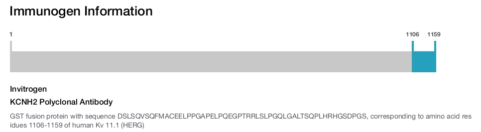 KCNH2 Polyclonal Antibody