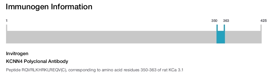 KCNN4 Polyclonal Antibody